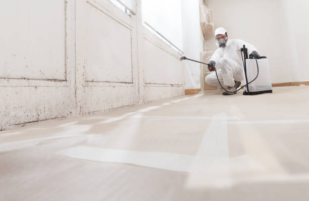24/7 Emergency Mold Remediation experts in Winchester, VA